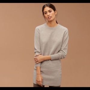 Aritzia Sweatshirt Dress